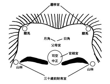 額頭低|額頭生得低、窄、陷的人有何命運特征？